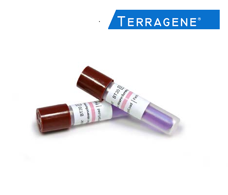 蒸汽灭菌生物指示剂BT20