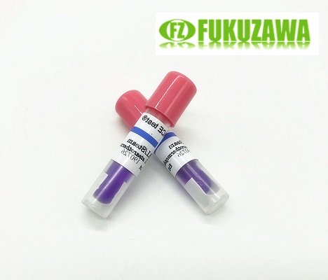 蒸汽灭菌生物指示剂FZ（固体型）